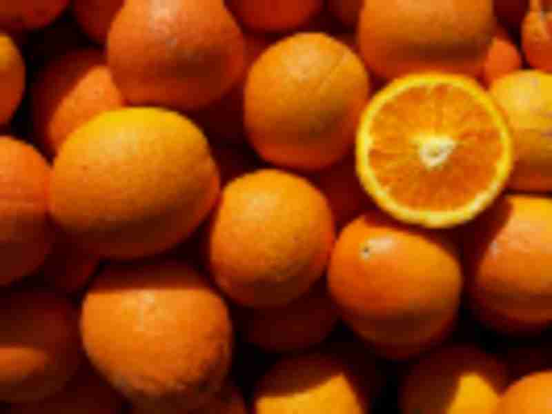 US citrus: No help from Phase One trade deal