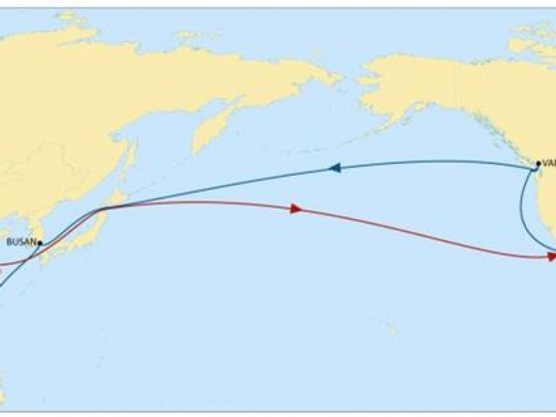 MSC’s new Santana service connects Asia and North America