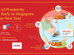 https://www.ajot.com/images/uploads/article/PIL-IBM-Lunar-New-Year-Infographic.jpg