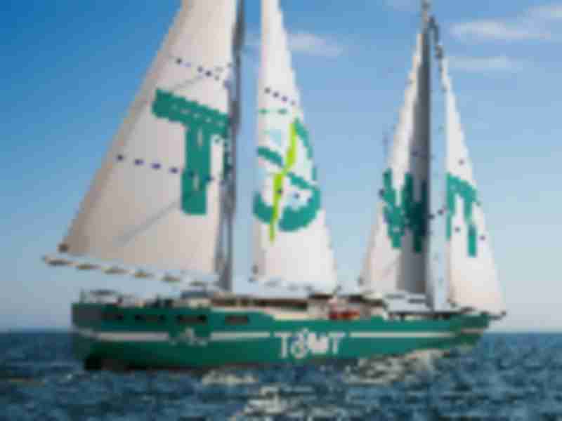 Cargo sailing ships: Green transport novelty or here to stay?