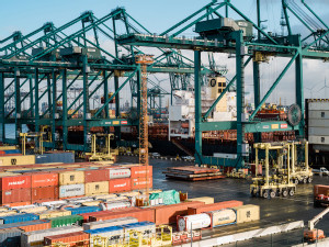 Strong container throughput drives Port of Antwerp-Bruges growth despite challenging market conditions