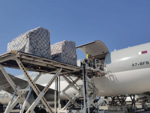 https://www.ajot.com/images/uploads/article/Qatar_freighter_unloading.jpg