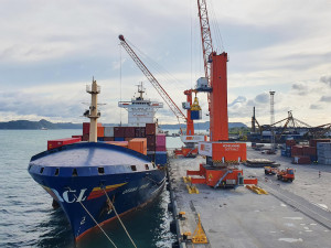 Visayas Container Terminal handles first gearless vessel