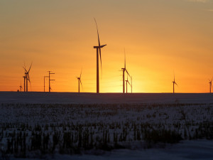 Tentative green energy shoots at risk from US vote uncertainty