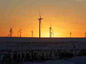 Tentative green energy shoots at risk from US vote uncertainty