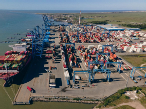 Wilson Sons reports 83% rise in wood pellet exports from Rio Grande Container Terminal in the first eight months of the year