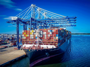 SC Ports: Container volumes steady as rail infrastructure expands