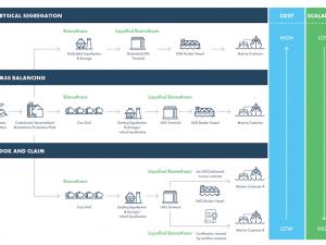 https://www.ajot.com/images/uploads/article/SEA-LNG_chart.png