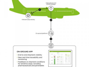 https://www.ajot.com/images/uploads/article/SITAONAIR-infographic.jpg