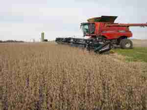 Trump trade policy seen as wild card for US soybean farmers, opportunity for crushers