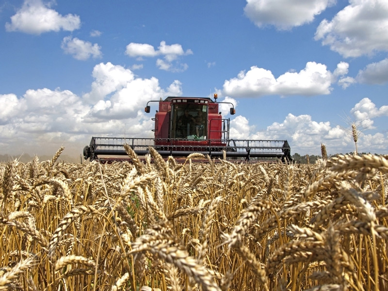 WTO to issue ruling in US dispute over Chinese farm quotas