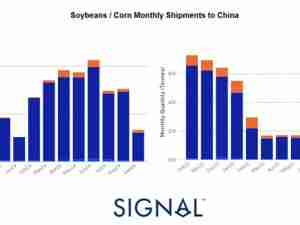 Signal Ocean: Dry Weekly Market Monitor - Week 38 of 2024