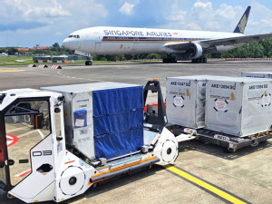 https://www.ajot.com/images/uploads/article/Singapore-Airlines.jpg