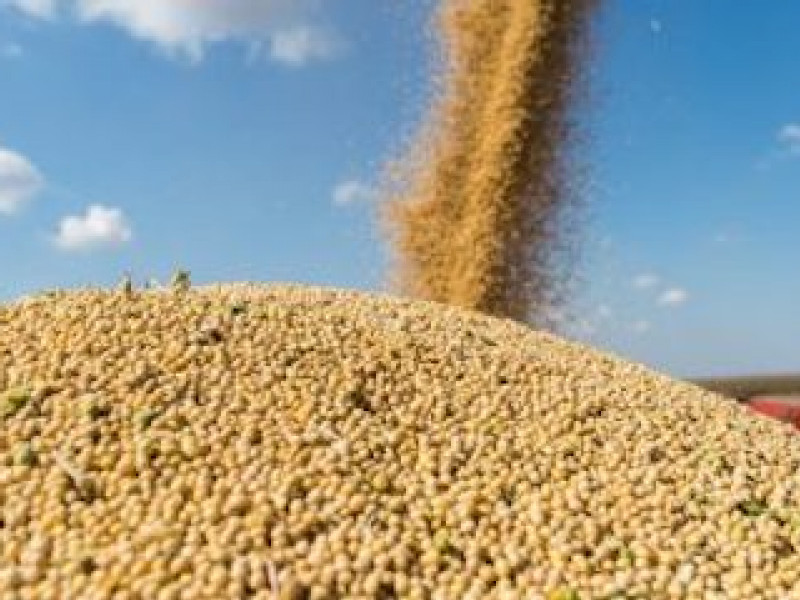 Container shipping will help farmers meet international demand for U.S. soybeans