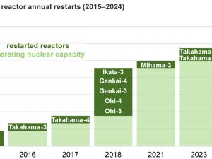 Since the 2011 Fukushima accident, Japan has restarted 14 nuclear reactors