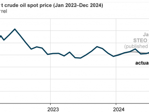 Today in Energy: A look back at our forecast for global crude oil prices in 2024