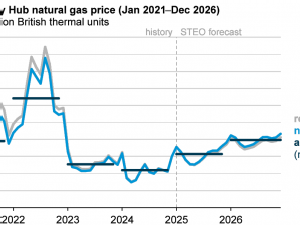 EIA expects higher wholesale U.S. natural gas prices as demand increases