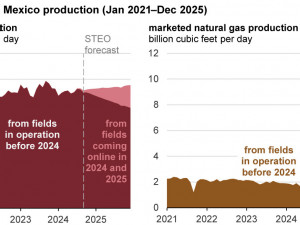 Today in Energy: Development of new fields in Gulf to offset production decline in 2024 and 2025