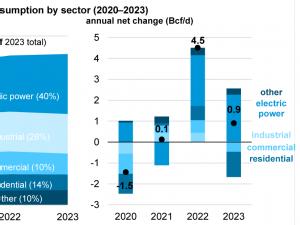 U.S. natural gas consumption reaches new highs driven by the electric power sector