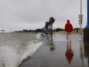 Hurricane Francine lands in Louisiana, putting New Orleans on edge