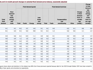 US Bureau of Labor statistics: Producer price index November - 2024