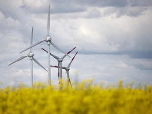 EU’s 2024 new wind capacity less than half amount needed for climate goal, industry group says