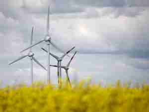 EU’s 2024 new wind capacity less than half amount needed for climate goal, industry group says