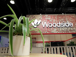 Woodside and Tokyo Gas in discussions over stake in US LNG project