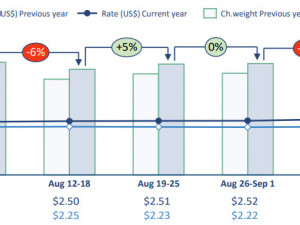 WorldACD Weekly Air Cargo Trends (week 36) - 2024