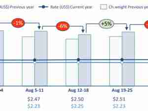 WorldACD Weekly Air Cargo Trends (week 35) - 2024