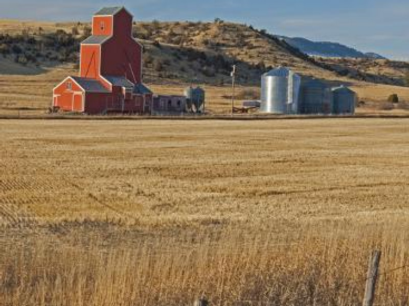 China’s shopping list in America has these farm goods at the top