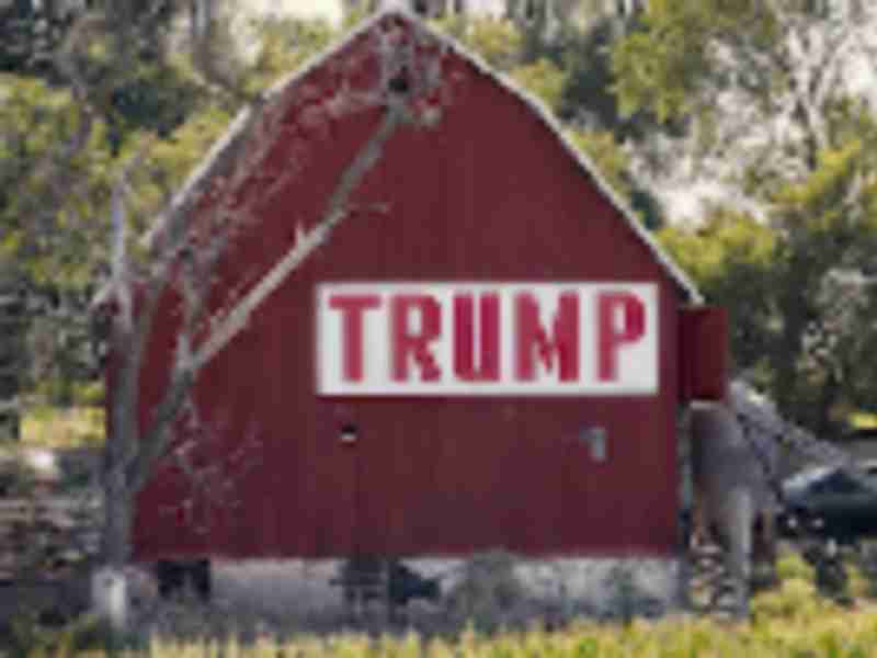 Trump greenlights next round of farm payments in China trade war