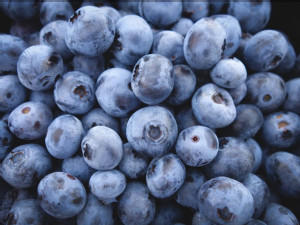 https://www.ajot.com/images/uploads/article/blueberries-hueneme.jpg