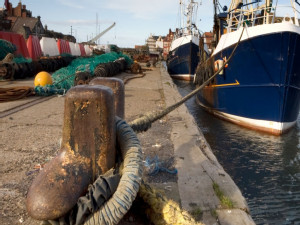 https://www.ajot.com/images/uploads/article/boat-dock-whitby-england-Depositphotos_31791517.jpg