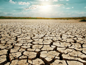 https://www.ajot.com/images/uploads/article/cali-drought.jpg