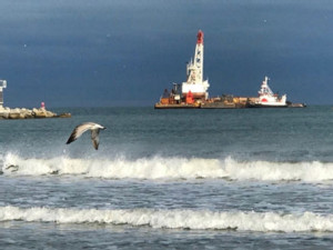 https://www.ajot.com/images/uploads/article/canaveral-gull-derick-barge-trench.jpg