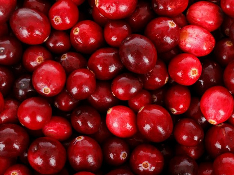 U.S. Cranberry Industry Is Early Casualty of Incipient Trade War