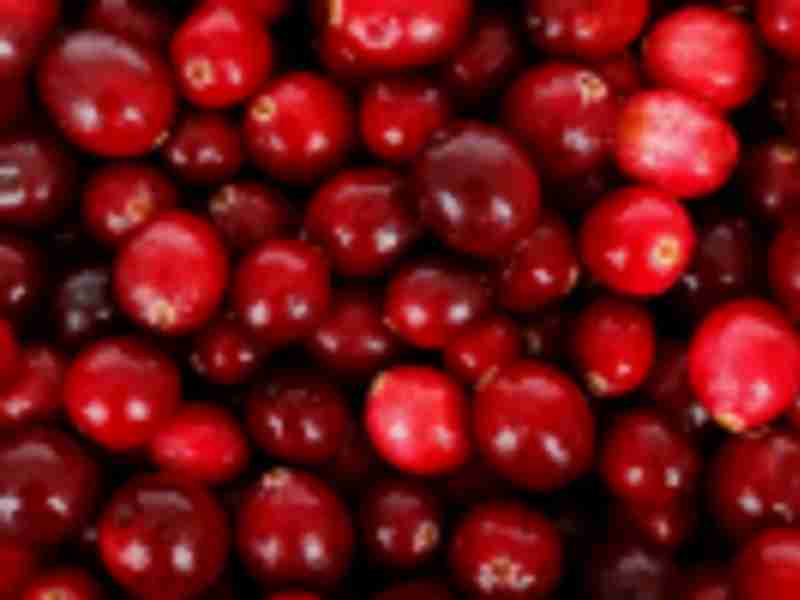 U.S. Cranberry Industry Is Early Casualty of Incipient Trade War