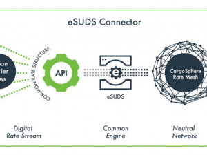 https://www.ajot.com/images/uploads/article/eSUDS_Connector_Infographic.jpg