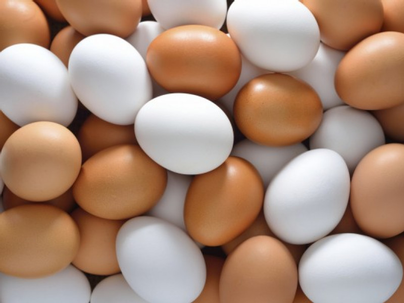 Israel Airlifts Eggs to Prevent Shortages During Passover