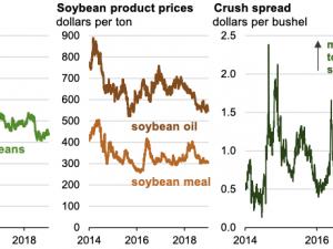 https://www.ajot.com/images/uploads/article/eia-soybean-2.png