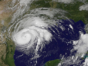 https://www.ajot.com/images/uploads/article/harvey-goes-82517_0.jpg