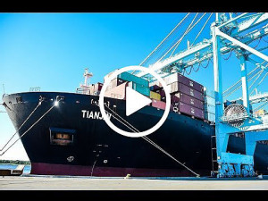 https://www.ajot.com/images/uploads/article/jaxport-zim-video-112018.jpg