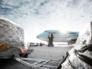 https://www.ajot.com/images/uploads/article/korean-air-cargo.jpg