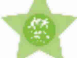 https://www.ajot.com/images/uploads/article/logistics_logo_1_star_green.jpg