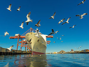 https://www.ajot.com/images/uploads/article/long-beach-blue-skies-birds.jpg