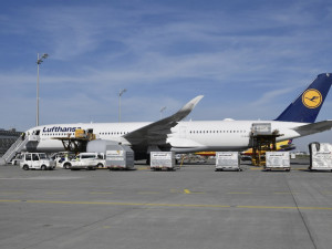 https://www.ajot.com/images/uploads/article/lufthansa-passenger-cargo-04212020-2.jpg