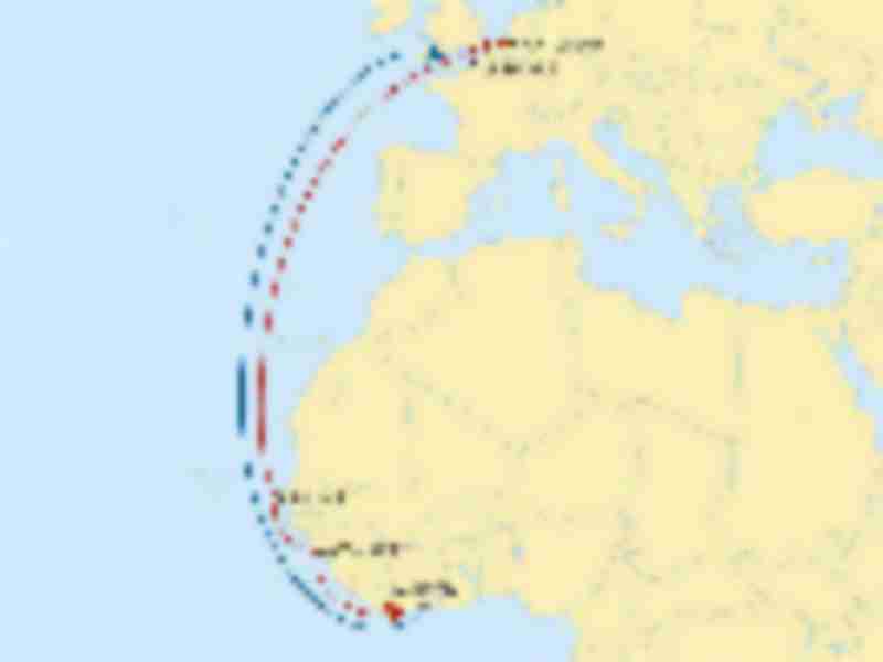 MSC Immacolata inaugurates at Le Havre the new MSC Ro-Ro service to Africa