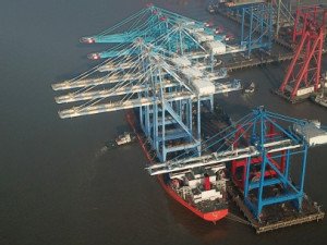 https://www.ajot.com/images/uploads/article/nwsa-cranes-03042019.jpg