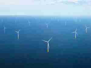 Oceantic Network Statement on first offshore wind lease sale in the Gulf of Maine